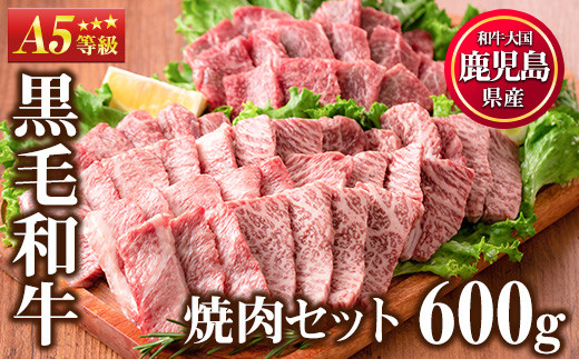 
                  No.507-03 ＜A5等級＞鹿児島県産黒毛和牛焼肉セット(計600g・霜降り焼肉200g×2P、赤身焼肉200g×1P)国産 九州産 牛肉 黒毛和牛 和牛 焼肉 焼き肉 赤身 霜降り A5 A5ランク A5等級 食べ比べ セット 冷凍【LRプラスK】【507-03】【547】【612-01】【831】
                