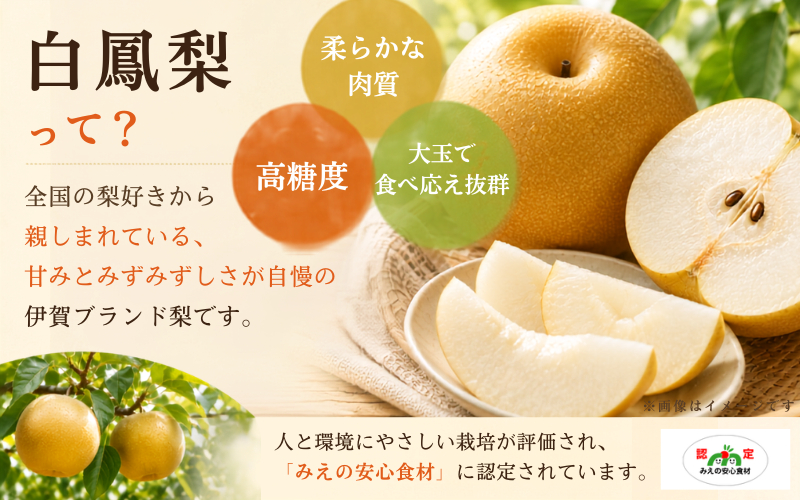 白鳳梨（豊水）3L  14玉 ※お届けは9月上旬から9月中旬頃の予定です【hkns0001】