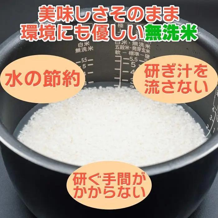 【JAみなみ魚沼定期便】南魚沼産こしひかり無洗米（20kg×全3回）｜無洗米