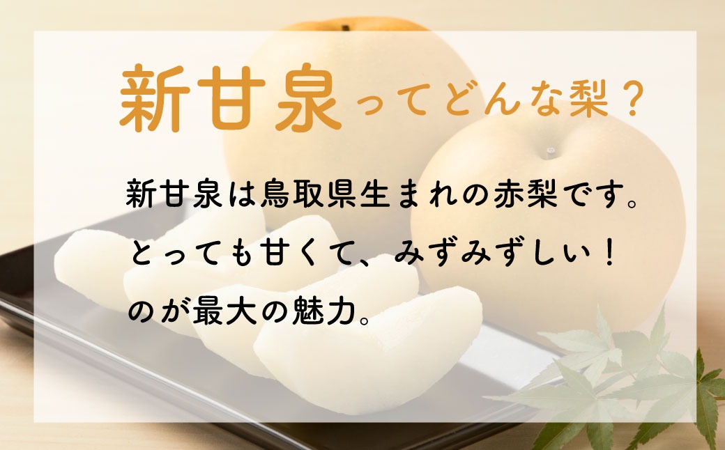 新甘泉(赤秀) 5kg