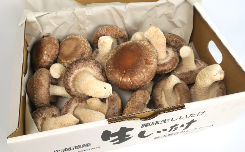 【贈答用】北海道の自然で育った極撰肉厚しいたけ