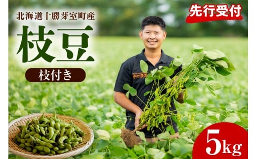 【2026年8月より発送】産地直送！北海道十勝芽室町 枝付き枝豆 5kg me081-001c