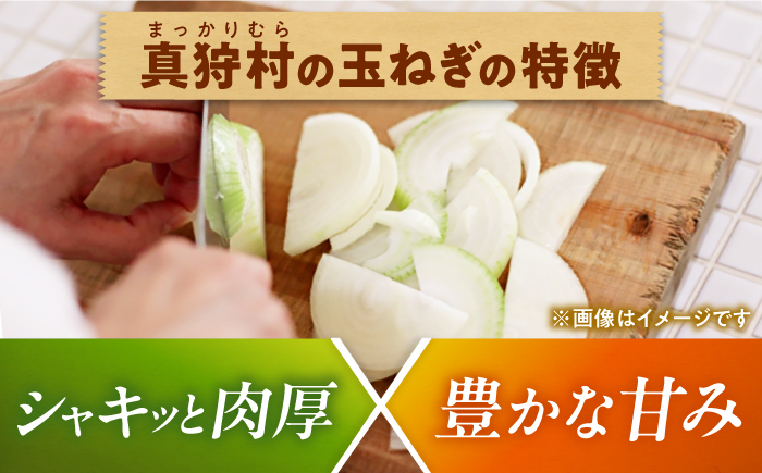 【2026年10月上旬以降順次発送】 玉ねぎ 5kg | 野菜 玉ネギ たまねぎ やさい 北海道 産地直送 | 道の駅 真狩フラワーセンター [BPAM079]
