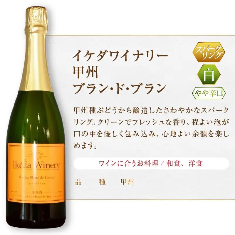 ワイン イケダワイナリー スパークリングワイン 2本セット（MG）C-491
