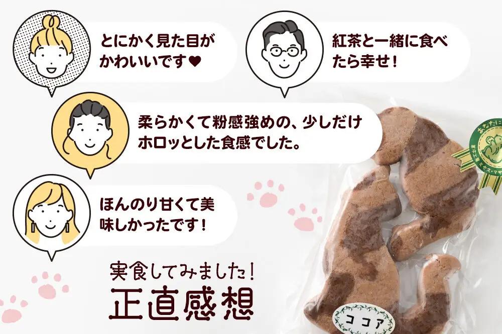 柄はお楽しみ♪ 猫クッキー 6個（2個入り×3）【菓子工房 ミセス・マサコ】
