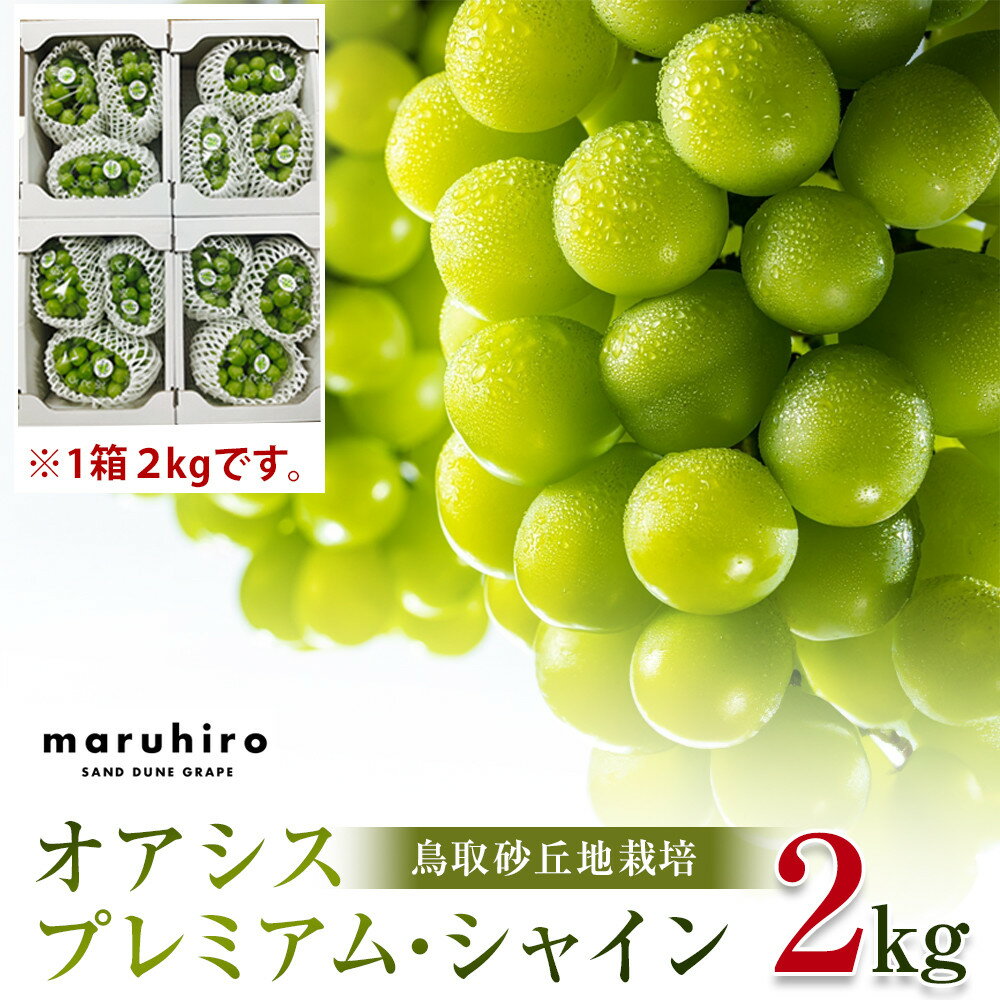 【ふるさと納税】542.【先行予約】オアシス・プレミアム・シャイン 2kg（鳥取砂丘地栽培） ※2025年8月下旬頃～10月下旬頃に順次発送 | シャインマスカット マスカット 葡萄 ブドウ ぶどう 産地直送 フルーツ 果物 甘い 鳥取県 北栄町 おすすめ 人気