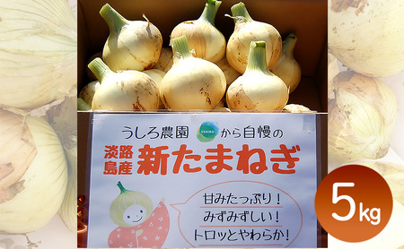 淡路島産 新玉ねぎ 5kg うしろ農園 極早生 玉ねぎ 玉葱 タマネギ 甘い 野菜 兵庫県 洲本市 淡路島