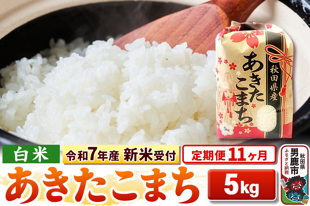 《令和7年産 新米受付》《定期便11ヶ月》【白米】秋田県産 あきたこまち 5kg|23_kml-030511s