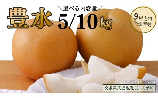 
                  【 選べる 内容量 】 豊水 約5kg / 約10kg 【2026年9月上旬発送開始】(茨城県共通返礼品：大子町) 梨 なし 果物 くだもの フルーツ
                