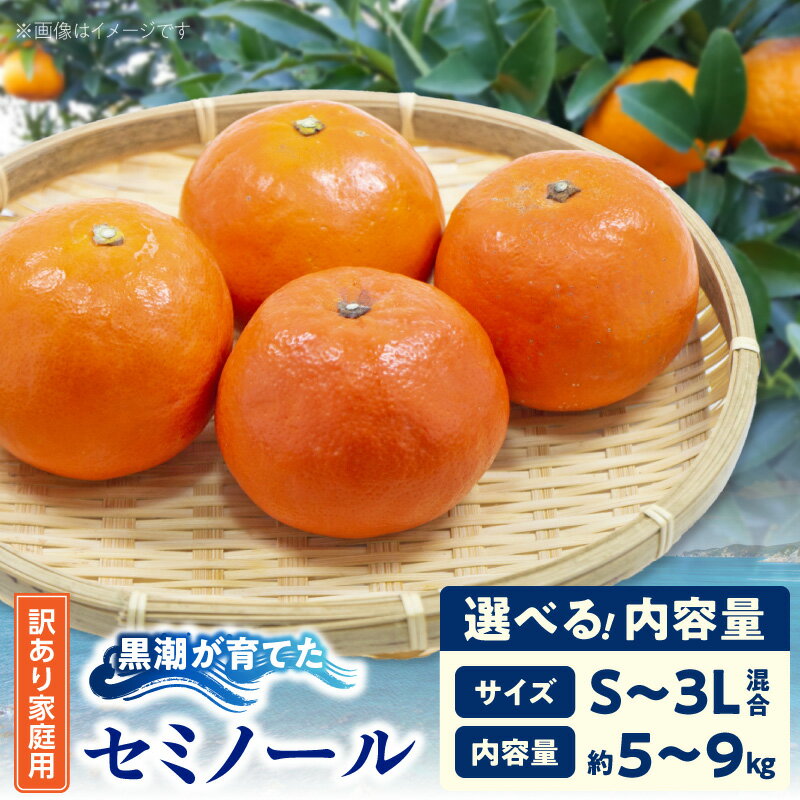 【ふるさと納税】【限定】 訳あり 家庭用 黒潮が育てた セミノール 選べる 内容量 約 5kg 9kg S ～ 3L サイズ混合 オレンジ 和歌山県 湯浅町 送料無料