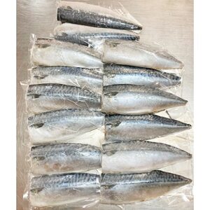 塩さばフィレ14枚入(真空パック入)【配送不可地域：離島】【1216742】