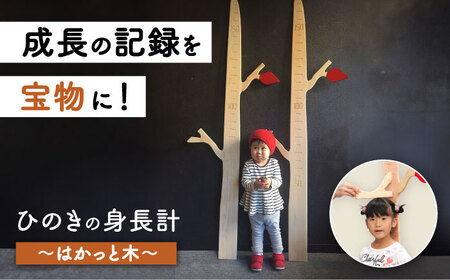 ひのき 身長計[AQBH007] 身長計 身長計 身長計 身長計