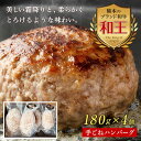 【ふるさと納税】熊本和王100％手ごねハンバーグ4個セット 計720g(180g×4個) 黒毛和牛 和王 ブランド牛 手ごね ハンバーグ 牛肉 牛 肉 ご当地 グルメ おかず お弁当 食品 FKK19-532