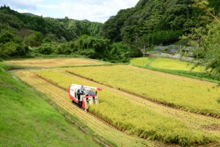 令和5年産 里山新見のめぐみ コシヒカリ 5kg