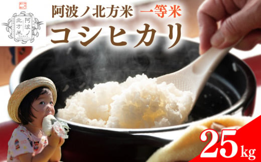 【 単品 25kg 】コシヒカリ 令和6年産 阿波ノ北方米 1等 米 こめ ご飯 ごはん おにぎり 白米 精米 新米 卵かけご飯 食品 備蓄 備蓄米 保存 防災 ギフト 贈答 プレゼント お取り寄せ グルメ 送料無料 徳島県 阿波市 阿波ノ北方農園