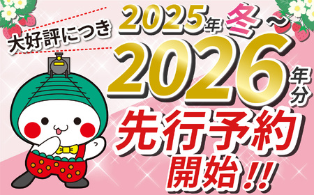 【1月発送】いちご王国の愛され苺 とちあいか 300ｇ以上2パック（平パック）｜2026年 先行予約 1月 苺 いちご イチゴ ストロベリー strawberry 厳選 手作り 特産品 美味しい おい