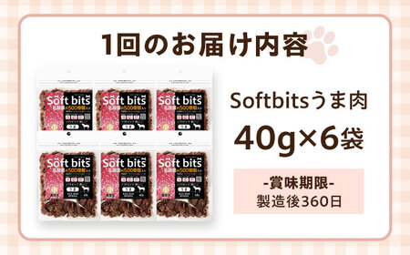【全6回定期便】Softbits ドッグフード 馬（40g×6P）/ ドッグフード 犬 いぬ ドッグ おやつ ペットフード / 大村市 / サポート[ACAM038]