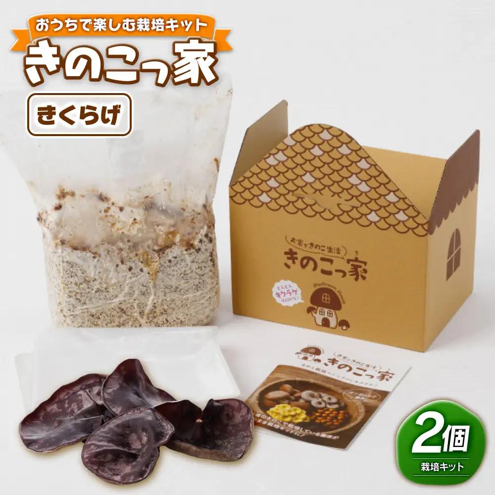 おうちで楽しむ栽培キット「きのこっ家」2個セット　きくらげ×きくらげ　 【鳥取県 境港市】