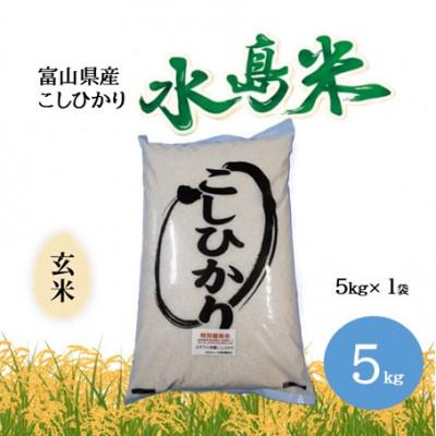 ふるさと納税 小矢部市 栽培期間中農薬・化学肥料不使用　こしひかり　玄米 5kg×1袋(5kg)