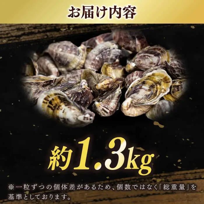 養殖カキ 約1.3kg [RCN001] 牡蠣 牡蠣 牡蠣 牡蠣 牡蠣 牡蠣九州 長崎 