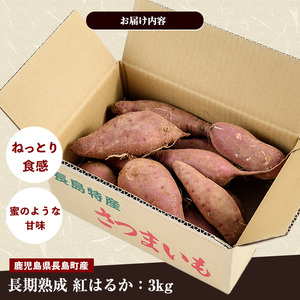 【12月中旬以降発送】〈数量限定〉和喜雄さんといつみさんのはちみつ芋(計3kg)【飯尾和喜雄農園】iio-7086