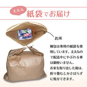 令和7年産　普通精米　福岡県産元気つくし 10kg_Gr031