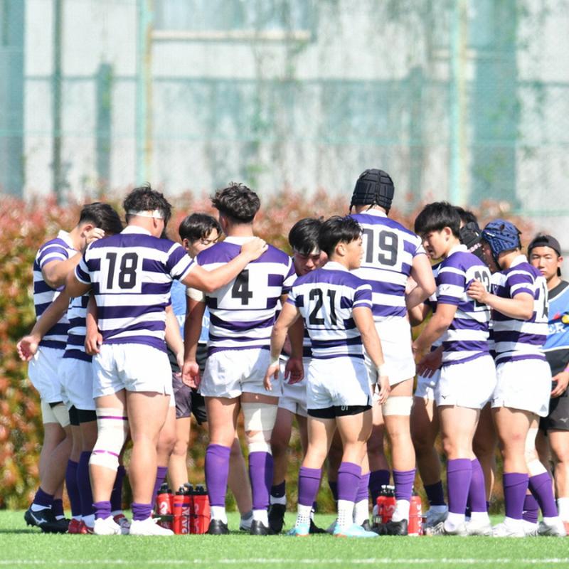 令和7年 新潟県産 コシヒカリ 雪むろ 棚田米 5kg 5キロ 白米 新米 明治大学ラグビー部 安塚 雪室 こめ 新潟 上越 上越市