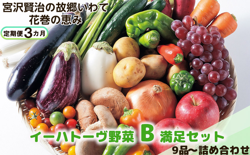 【定期便３ヶ月】イーハトーヴ野菜B 満足セット 9品～ 詰め合わせ 【1204】