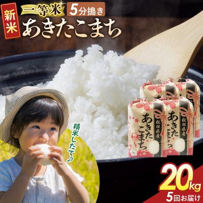 ふるさと納税 大仙市 定期5ヶ月 5分搗き あきたこまち 一等米 20kg 秋田県 R8年|22_kml-052005s | 