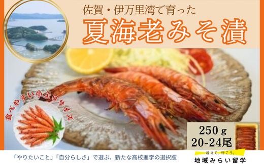 
【佐賀県伊万里産｜車海老みそ漬】海老250g/みそ200g
