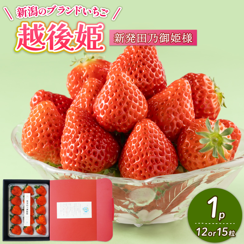 【2026年3月下旬発送開始】 いちご 越後姫 １パック 【 果物 いちご おやつ 健康 フルーツ スイーツ スイーツ作り ケーキ ケーキ作り 数量限定 先行予約 新潟県 新発田市 shibatafarm001 】