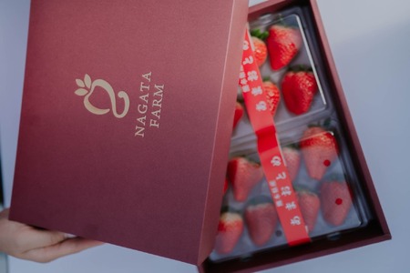先行予約 化粧箱入り 宇城市産 あまおとめ 約600g（約300g×2パック）【NAGATA FARM】【2025年1月上旬～3月下旬発送予定】合計600g 果物 くだもの フルーツ 果実 苺 いちご