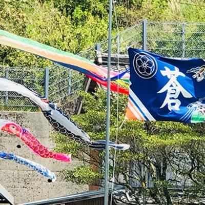 ふるさと納税 四万十市 鮮やかな高知の伝統工芸 【鯉と金太郎フラフ(祝い旗)】R5-027 |  | 01