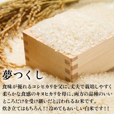 ふるさと納税 田川市 【化粧箱入り】新米!!令和7年産 福岡県産米 夢つくし 5kg(5kg×1袋)(田川市) |  | 01