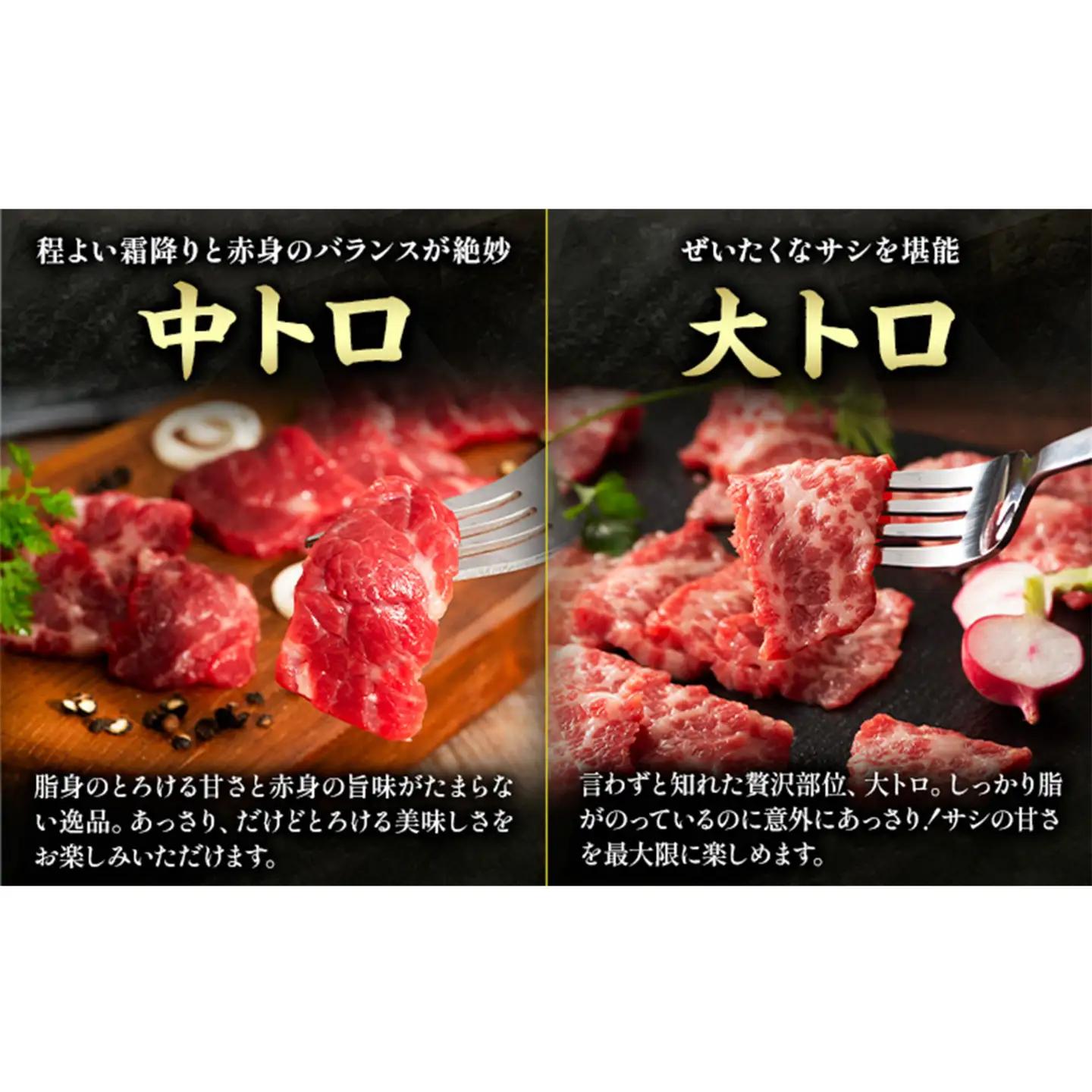 馬刺し 本場 熊本 霜降り馬刺しと赤身の贅沢6種セット 亀井通産株式会社《30日以内に出荷予定(土日祝除く)》 熊本県 菊池市 肉 馬肉 メン 大トロ 中トロ ヒレ シャトーブリアン ロース ユッケ 