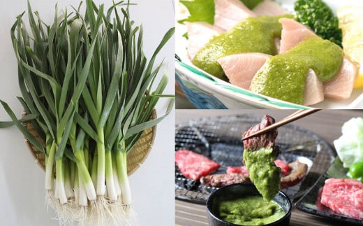 葉 にんにく ぬた 2種 (さっぱり・コク)  食べ比べ セット ご当地 万能 ドレッシング ソース 有機栽培 調味料  ガーリック 無農薬 さっぱり ゆず 柚子 ぶり 鰤 かつおのたたき たたき か