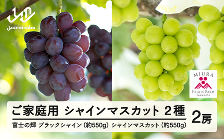 【先行予約】ぶどう 富士の輝 約550g シャインマスカット セット ご家庭用 令和8年産 2026年産 山形県山辺町産 ブラックシャインマスカット 葡萄 ブドウ フルーツ 果物 ※沖縄・離島への配送不可 bg-bufsk1200