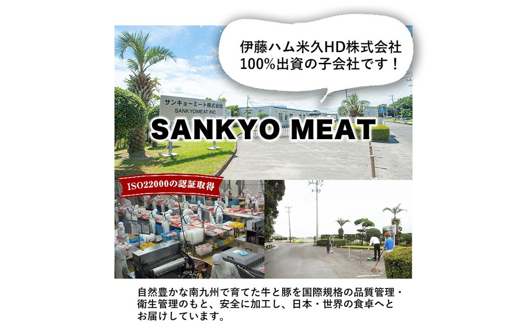 【3月発送予定】【数量限定】小分け・真空パック!九州産豚肉4種セット＜計2.25kg＞ a3-212-03