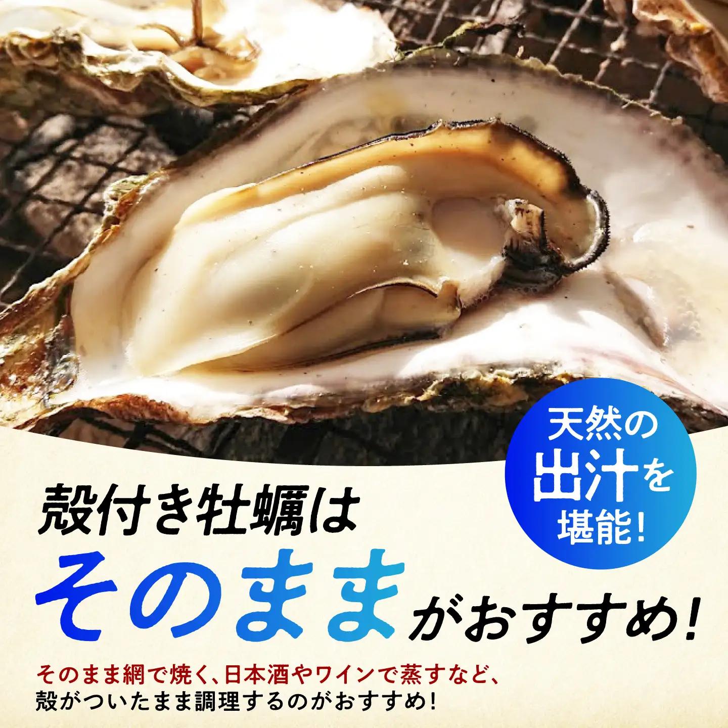 冷凍牡蠣 殻付き3kg 牡蠣[XAO030]