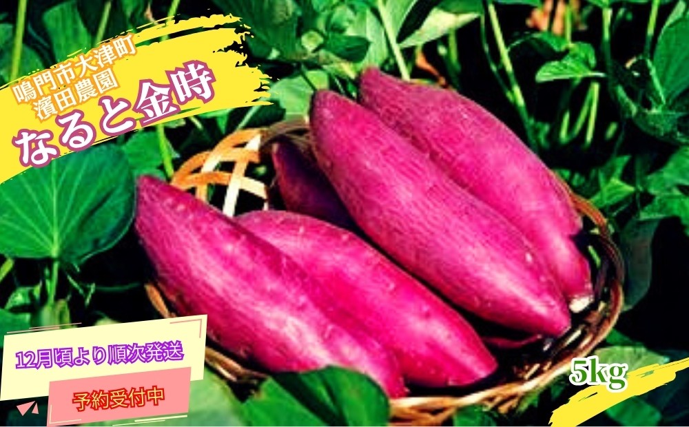 
            【予約受付中・2025年12月頃より順次発送】【訳あり】濱田農園 なると金時 サイズ混合（不揃い） 約5kg【数量限定】さつまいも 鳴門金時 国産 天ぷら 煮物 スイーツ 焼き芋 干し芋 けんぴ
          