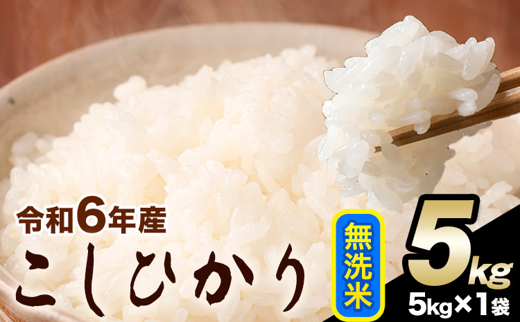 令和6年産 こしひかり 無洗米  5kg 精米 熊本県産(南阿蘇村産含む) 単一原料米 南阿蘇村《2月上旬-2月末頃出荷予定》---mna_kh6_ac2_25_13500_5kg_m---