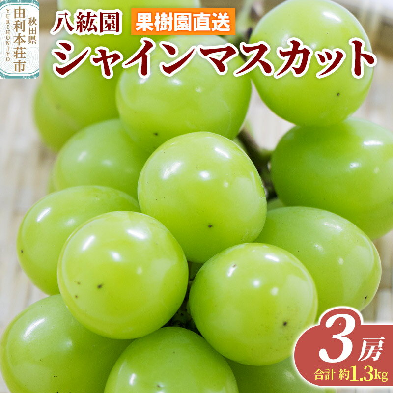 【ふるさと納税】秋田県 由利本荘市産 八紘園 シャインマスカット 3房(合計 約1.3kg)