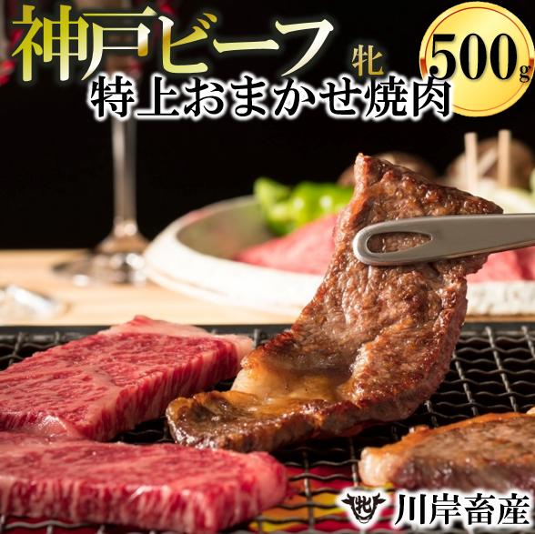 神戸牛 牝【７営業日以内に発送】特上 焼肉 おまかせセット（500g）【冷蔵】神戸ビーフ