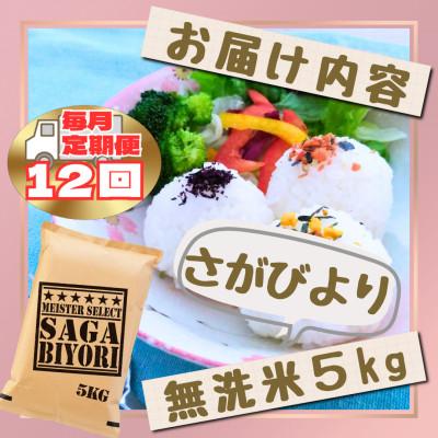 ふるさと納税 江北町 【毎月定期便】【無洗米】さがびより5kg(江北町)全12回 |  | 02