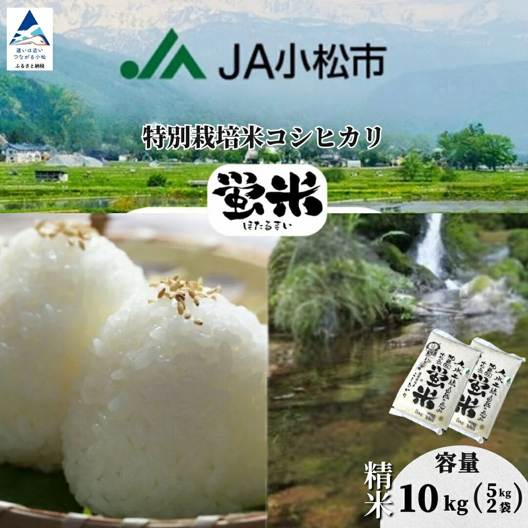 【ふるさと納税】 米 令和7年産 精米 10kg コシヒカリ 蛍米 特別栽培米 白米 お米 こめ コメ こしひかり 5kg × 2袋 10キロ 10KG R7年産 2025年産 県産米 国産米 お取り寄せ 人気 ランキング おすすめ お中元 お歳暮 ギフト 石川県 小松市 こまつ 040051 【JA小松市】