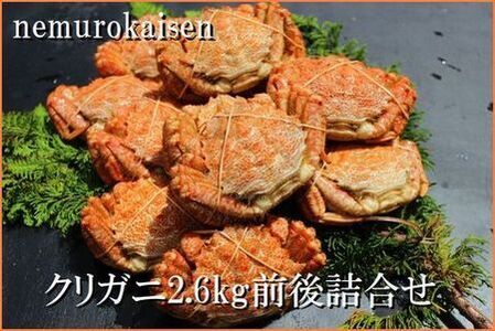＜12月22日決済分まで年内配送＞【北海道根室産】クリガニ12～14尾(計2.6kg前後) A-57061