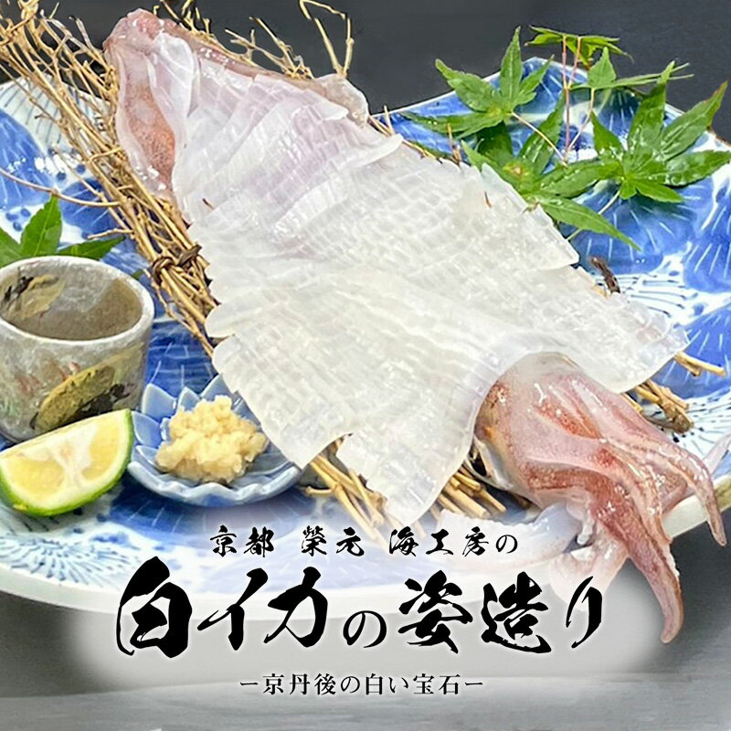【ふるさと納税】イカの刺身に／鮮度抜群★ 【先行予約】京都　榮元　海工房の白イカの姿造り 海鮮 魚介類 イカ 白いか 剣先イカ 産地直送 お刺身 特殊冷凍 活きいか 京都 丹後 久美浜 送料無料 ふるさと納税 いかそうめん いか刺身 イカ刺身 いか刺し