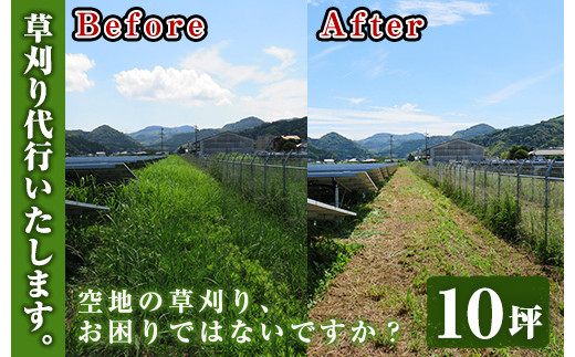 空地の草刈り代行サービス　10坪単位【00-067-02】