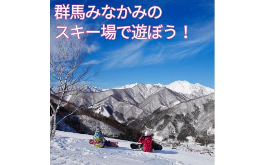 みなかみ町内スキー場 ふるさと納税共通1日リフト券（引換券）３枚