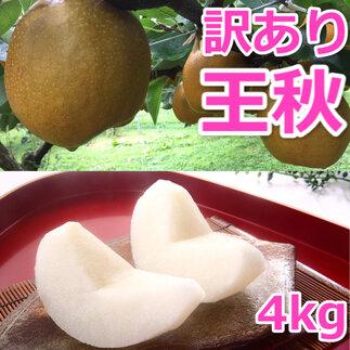 926.【訳あり】王秋梨 4kg（4～13玉前後）≪果物 フルーツ くだもの≫　※2025年10月下旬～12月上旬頃に順次発送予定 313726_AN004